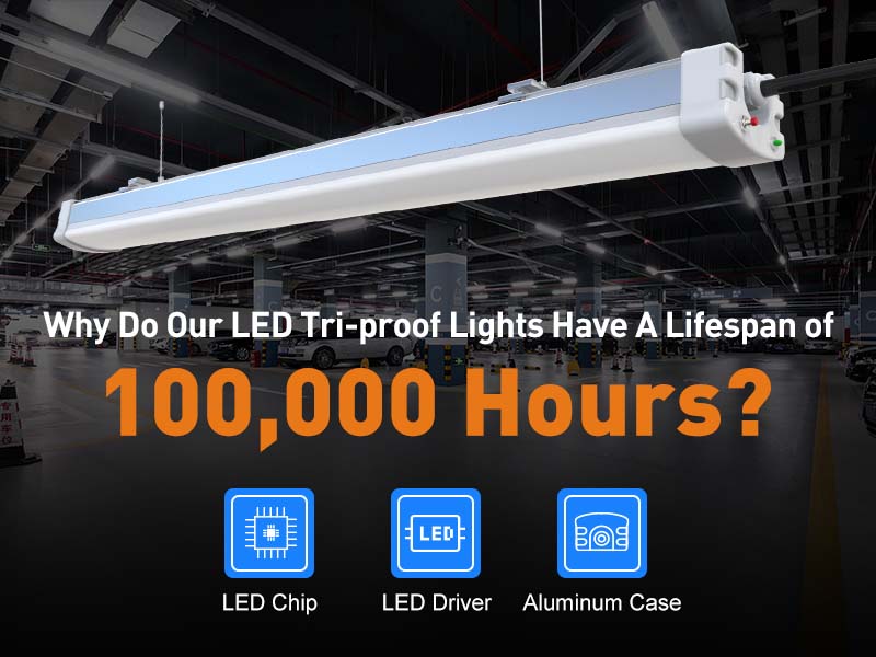 LED ceiling tri-proof light fixture