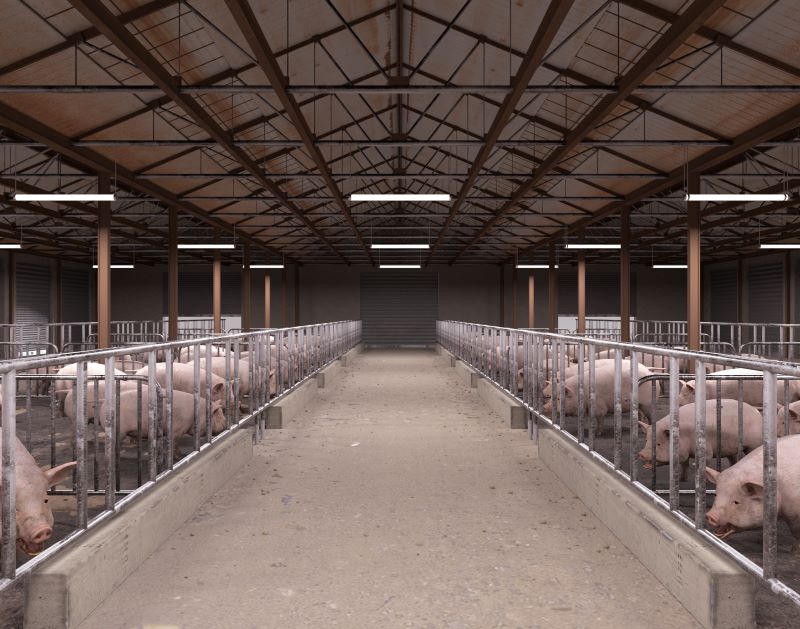 Pig house lighting